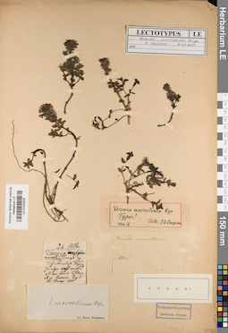 LE 01043905