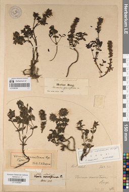 LE 01043907