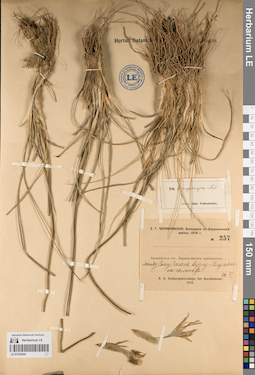 LE 01222544
