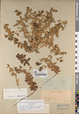 LE 01053810