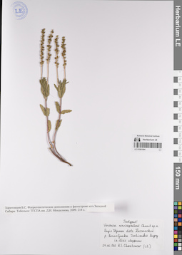 LE 01081994