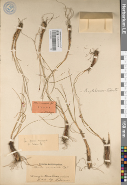 LE 01072064