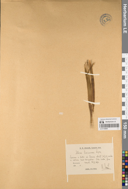 LE 01152936