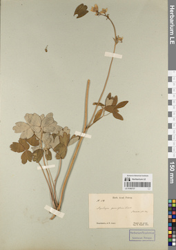 LE 01082727