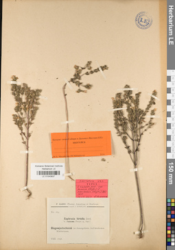 LE 01043937
