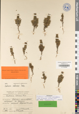 LE 01043938
