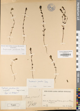 LE 01043939