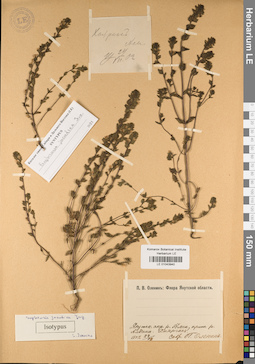 LE 01043940