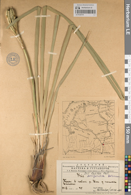 LE 01222734