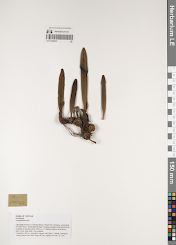 LE 01169935