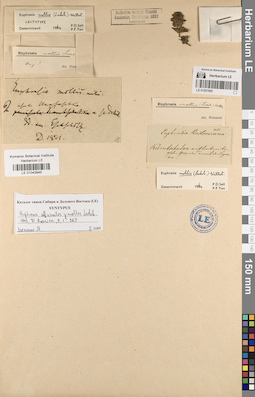 LE 01043945