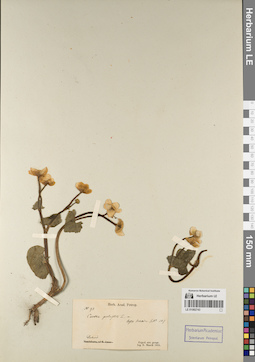 LE 01082743