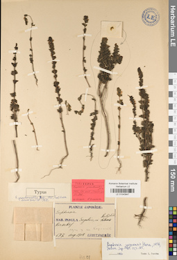 LE 01043947