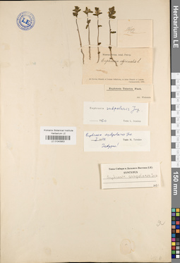 LE 01043953