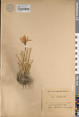 LE 01222759