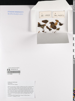LE 01169961