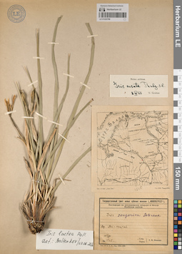 LE 01222768