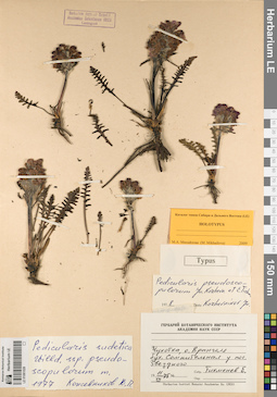 LE 01081028