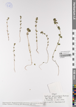 LE 01081997