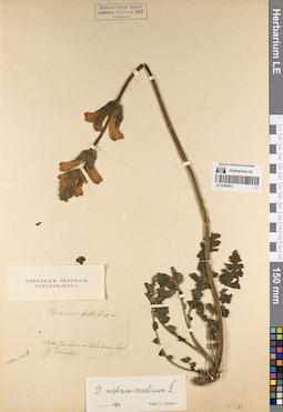 LE 01083472