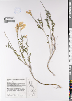 LE 01201053