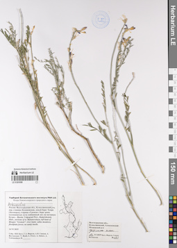 LE 01201058