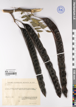 LE 01201179