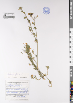 LE 01201586