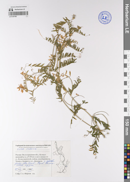 LE 01201593