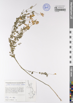 LE 01201595
