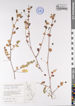 LE 01201633