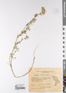 LE 01202079