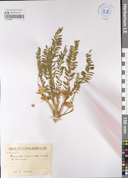 LE 01206087