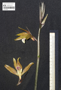 LE 01123791