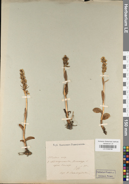 LE 01029109