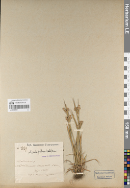 LE 01083541