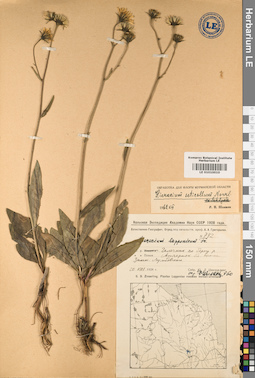 LE 01010010