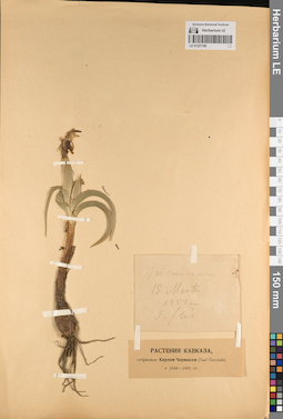 LE 01227190