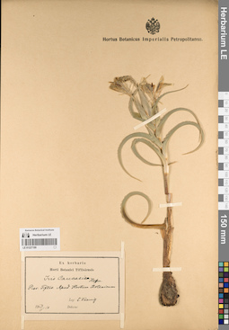 LE 01227199