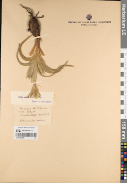 LE 01227209