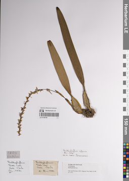 LE 01169156