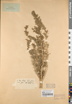 LE 01227090