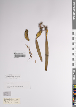 LE 01169201