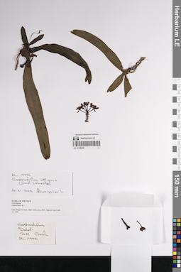 LE 01169245