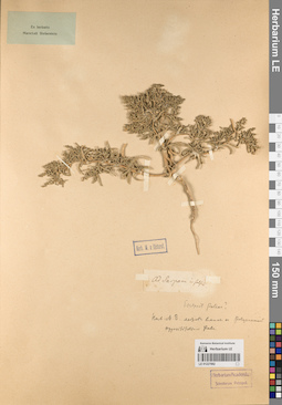 LE 01227092
