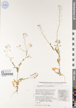LE 01083612