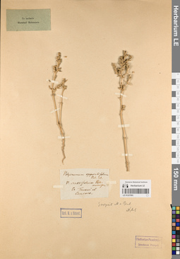 LE 01227093