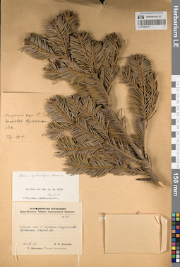 LE 01062274