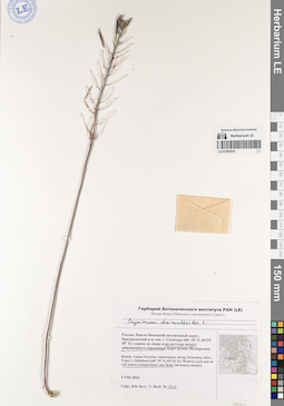 LE 01083619