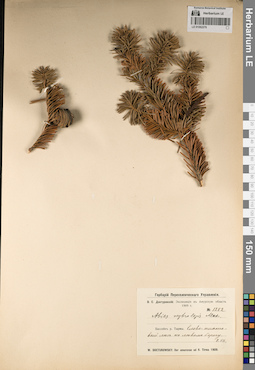 LE 01062276